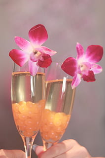 zwei, Cocktailgläser, Rosa, Blume, Cocktail, Brille, pinke Farbe, Feier, Nahansicht, Trinkglas, Alkohol, halten, menschliche Hand, Essen und Trinken, Frische, blühende Pflanze, Glas, Pflanze, Schönheit in der Natur, Erfrischung, Blütenblatt, Hand, Verletzlichkeit, Zerbrechlichkeit, Natur, Getränk, transparent, Blütenkopf, Finger, 1080P, CC0, gemeinfrei, lizenzfrei
