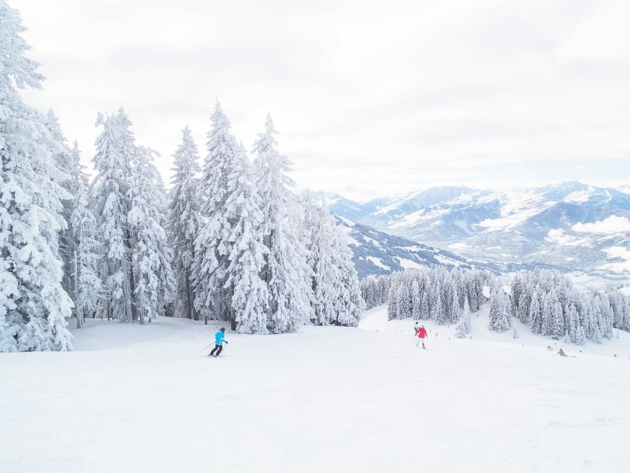 zwei, Personenskifahren, Schnee, Bäume, tagsüber, Foto, Kinder, spielen, Schneefeld, Skifahren, Ski, Baum, Weiß, Snowboard, Berg, rot, Blau, Winter, Wald, Snowboarden, Skipiste, Sport, klarer Himmel, kalte Temperatur, Schönheit in der Natur, Szenen - Natur, weiße Farbe, Pflanze, ruhige Szene, Abdeckung, Tag, Land, Ruhe, Natur, Freizeitbeschäftigung, Nicht-städtische Szene, Umgebung, Gebirge, draußen, schneebedeckter Berg, 4K