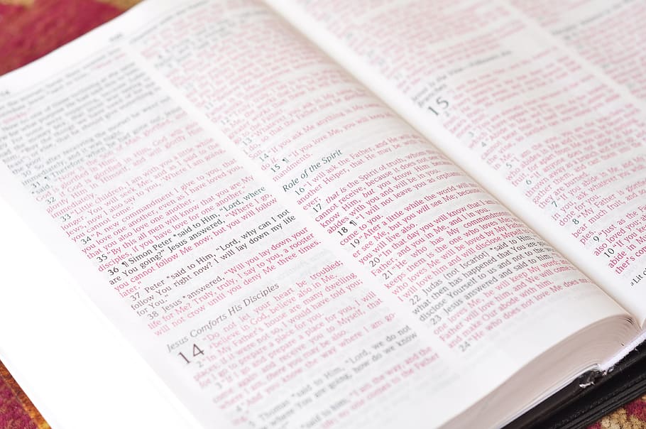 obert, bíblia, Escriptura, religió, llibre, cristianisme, Déu, Sant, pàgina, lectura, paper, text, cap gent, a l'interior, literatura, publicació, natura morta, vista d’angle alt, primer pla, educació, comunicació, marc complet, nombre, arranjament, guió occidental, negocis, fons, enfocament selectiu, Color blanc, llibre de text, 4K