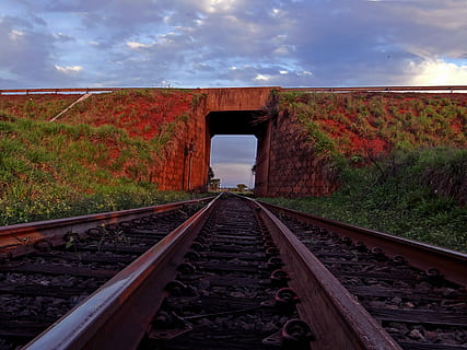 túnel, línia de tren, cel, aparecida do taboado, carretera, vies del ferrocarril, transport per ferrocarril, transport, núvol - cel, cap gent, pista, el camí a seguir, direcció, naturalesa, dia, planta, perspectiva decreixent, sòlid, metall, escena no urbana, punt de fuga, rock, connexió, pont, grava, llarg, 4K, CC0, domini públic, lliure de regalies