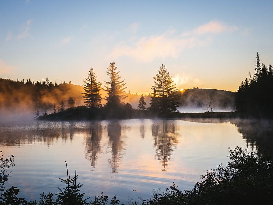 silhuet, træer, legeme, vand, solopgang baggrund, refleksionsfoto, afspejling, Skov, sø, søen, solopgang, tåge, morgen, træ, udendørs, natur, ødemark, sol, tåget, guld, tapet, tidlig morgen, himmel, rolig scene, ro, skønhed i naturen, scenics - natur, plante, sky - himmel, ingen mennesker, solopgang - daggry, idyllisk, refleksions søen, nåletræ, 4K