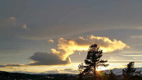 wolken, berg-, winter, zonsondergang, Noorwegen, avond, silhouet, drie, hemel, wolk - lucht, boom, schoonheid in de natuur, scenics - natuur, kalmte, rustige scène, fabriek, natuur, geen mensen, idyllisch, landschap, milieu, niet-stedelijke scène, buitenshuis, zonlicht, Oranje kleur, kruin, naaldboom, 5K, CC0, publiek domein, royaltyvrij