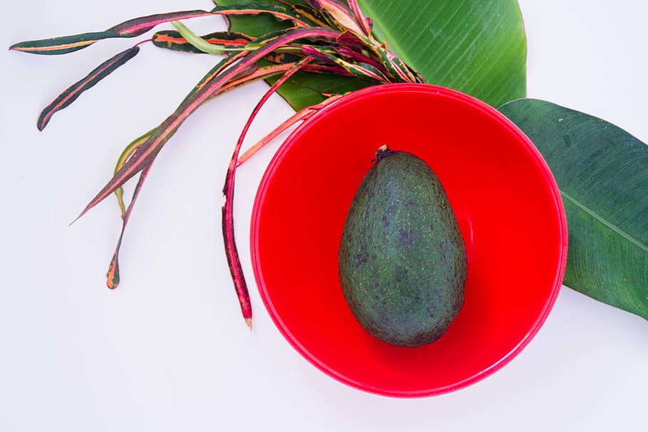 verde, Fruta, rojo, plato, aguacate, recipiente de plastico, hoja, follaje, comida, comida y bebida, foto de estudio, naturaleza, nadie, color verde, frescura, vegetal, alimentación saludable, planta, parte de la planta, adentro, multi color, Fondo blanco, naturaleza muerta, directamente arriba, vista de alto ángulo, 5K