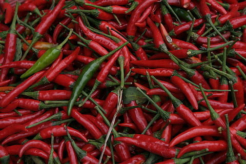 Chilli, strąki, rynek, ostry, papryczki chilli, przyprawa, czerwony, obfitość, jedzenie i picie, jedzenie, duża grupa obiektów, pełna ramka, świeżość, warzywo, żadnych ludzi, pieprz, papryczka chili, czerwona papryka chili, tła, martwa natura, dobre samopoczucie, sprzedaż, wysoki kąt widzenia, na sprzedaż, 2K, CC0, domena publiczna, darmowe zdjęcia