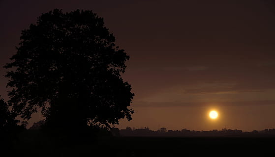 tre, solnedgang, skyet, storm, regn, mørk, silhuetten, himmel, landskap, skyer, skumring, solen, felt, sommer, humør, kveldskyer, anlegg, silhouette, skjønnhet i naturen, ro, rolig scene, naturskjønnhet - natur, natur, ingen folk, natt, oransje farge, miljø, utendørs, vekst, idylliske, måne, 5K, CC0, offentlig domene, opphavsrett gratis