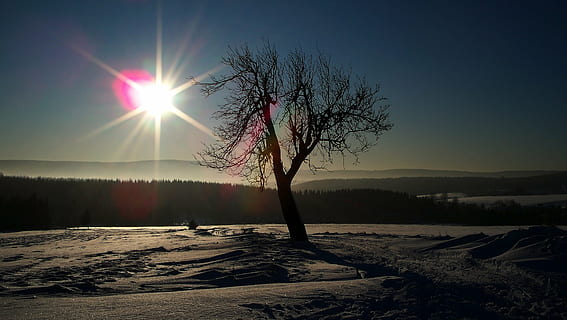 malmbjerge, vinter, træ, himmel, landskab, rolig scene, plante, ro, miljø, sol, skønhed i naturen, natur, bare træ, sne, jord, scenics - natur, kold temperatur, sollys, ingen mennesker, Mark, linseflare, 4K, CC0, offentligt domæne, royaltyfrie