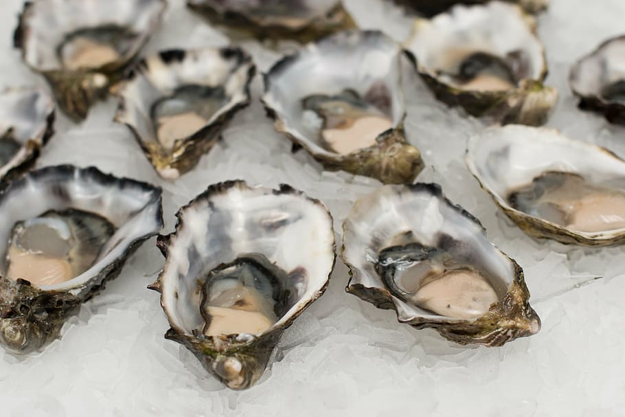 roh, Austern, Eis, Schaltier, Meeresfrüchte, Schale, Fisch, Lebensmittel, frisch, Meer, Gourmet, Restaurant, Markt, Mahlzeit, Brunch, Mittagessen, natürlich, Diät, köstlich, Ernährung, gesund, Landwirtschaft, Süss, organisch, Ozean, Snack, Ernte, lecker, Essen und Trinken, Rohkost, gesundes Essen, Frische, Fischmarkt, Krebs, Tier, Wohlbefinden, Auster, keine Leute, Nahansicht, High Angle View, Wirbeltier, Tierwelt, kalte Temperatur, zu verkaufen, Fischereiindustrie, 5K