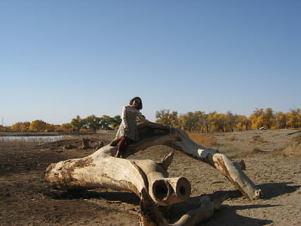 gobi, populus, ejina, čisté nebe, jedna osoba, nebe, Příroda, přistát, slunečního světla, plná délka, den, kopie prostor, volnočasové aktivity, modrý, životního stylu, skutečných lidí, sedící, relaxace, venku, neformální oblečení, slunný, strom, 2K, CC0, veřejná doména, bez autorských práv