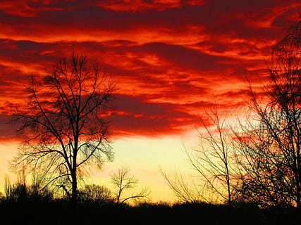 nubes, nubes rojas, rojo, cielo, estado animico, amanecer, atmosférico, color, brillar, atmósfera, Morgenrot, puesta de sol, silueta, belleza en la naturaleza, paisajes - naturaleza, tranquilidad, color naranja, nube - cielo, árbol, escena tranquila, nadie, árbol desnudo, cielo dramático, naturaleza, planta, temor, al aire libre, majestuoso, idílico, escena no urbana, cielo romantico, 4K, CC0, dominio público, libre de derechos