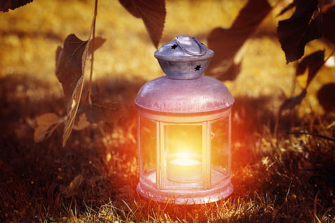 Foto, grå, stearinlys lygte, grøn, græsser, lanterne, lys, lampe, pærer, ud, natur, eng, lys og skygge, tæt, brænding, plante, flamme, ild, brand - naturligt fænomen, belysningsudstyr, græs, ingen mennesker, varme - temperatur, belyst, udendørs, sollys, dag, træ, fokus på forgrunden, jord, antik, elektrisk lampe, 5K, CC0, offentligt domæne, royaltyfrie