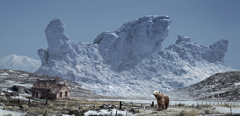 Marrone, orso, in piedi, di legno, cabina, paesaggio, natura, comporre, roccia, montagna, massiccio, solido, grande, pericoloso, casa, capanna, la neve, potente, orizzonte, solitudine, cielo, brullo, Karg, inverno, freddo, fauna selvatica, animali allo stato selvatico, temi animali, all'aperto, giorno, animale, temperatura fredda, nessuno, mammifero, scenics - natura, ambiente, bellezza nella natura, catena montuosa, animali domestici, bestiame, ghiaccio, domestico, montagna innevata, picco di montagna, 2K
