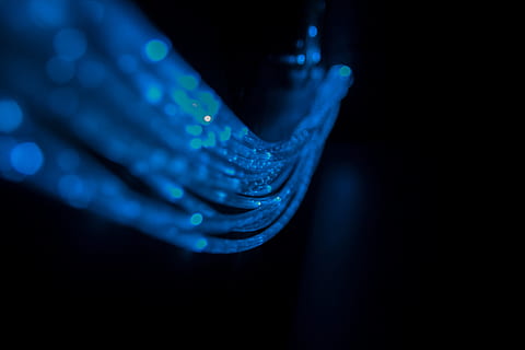 digitalisering, licht, gids, data overdracht, licht gids, lichte buis, abstract, blauw, achtergronden, technologie, patroon, gloeiend, detailopname, menselijk lichaamsdeel, binnenshuis, futuristische, een persoon, volwassen, zwarte achtergrond, menselijke hand, hand-, lichaamsdeel, nacht, studio opname, verlicht, water, jonge volwassene, beweging, creativiteit, donker, vinger, nachtleven, 5K, CC0, publiek domein, royaltyvrij