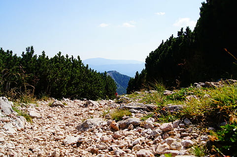 Weg, Alm, Landschaft, Latschenkiefer, Natur, Pflanze, Himmel, Ruhe, Baum, Szenen - Natur, Schönheit in der Natur, Rock, Berg, ruhige Szene, solide, Wachstum, keine Leute, Tag, Rock - Objekt, wolke - himmel, Nicht-städtische Szene, Stein - Objekt, Land, Stein, draußen, Kieselstein, 4K, CC0, gemeinfrei, lizenzfrei