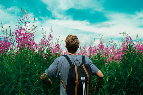 man, gray, shirt, black, brown, backpack, foxgloves flowers, blue, white, cloudy, sky, man in gray, black and brown, foxgloves, flowers, outdoors, nature, flower, one Person, people, men, caucasian Ethnicity, summer, grass, males, plant, green Color, springtime, landscape, rear view, casual clothing, adult, real people, growth, beauty in nature, flowering plant, lifestyles, leisure activity, cloud - sky, land, day, fragility, three quarter length, waist up, hairstyle, flower head, 4K, CC0, public domain, royalty free