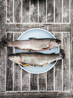 Due, commestibile, Pesci, superiore, bianca, piatto, pesce, trota, arancia, tavolo, di legno, cibo, cibo e bevande, freschezza, frutti di mare, vertebrato, mangiare sano, legno - materiale, animale, benessere, nessuno, cibo crudo, natura morta, direttamente sopra, in casa, preparazione, giorno, tentazione, 4K, CC0, dominio pubblico, privo di copyright