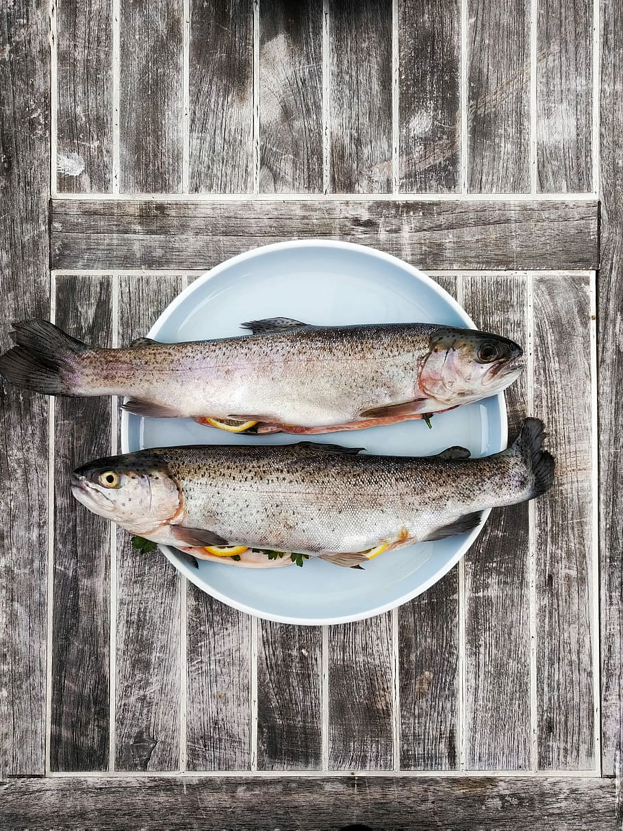 Due, commestibile, Pesci, superiore, bianca, piatto, pesce, trota, arancia, tavolo, di legno, cibo, cibo e bevande, freschezza, frutti di mare, vertebrato, mangiare sano, legno - materiale, animale, benessere, nessuno, cibo crudo, natura morta, direttamente sopra, in casa, preparazione, giorno, tentazione, 4K