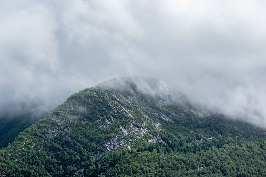 hory v mlze, letecký, fotografování, zelená, hora, bílý, mraky, fotografie, zelené hory, prase, mlha, les, mrak, Příroda, krajina, scén, mrak - nebe, venku, pohoří, kopec, nebe, zelená barva, horský vrchol, scéna s oblaky, nikdo, den, životní prostředí, scenics - příroda, krása v přírodě, přistát, rostlina, strom, cestovat, klidné scény, destinace, jehličnatého stromu, 5K