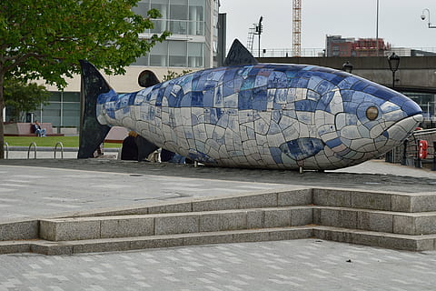 belfast, monumento, peixe, arquitetura, estrutura construída, exterior do edifício, dia, natureza, céu, arte e Artesanato, cidade, ninguém, destinos de viagem, ao ar livre, escultura, representação, viagem, transporte, construir, representação animal, modo de transporte, turismo, criatividade, 4K, CC0, domínio público, royalty free