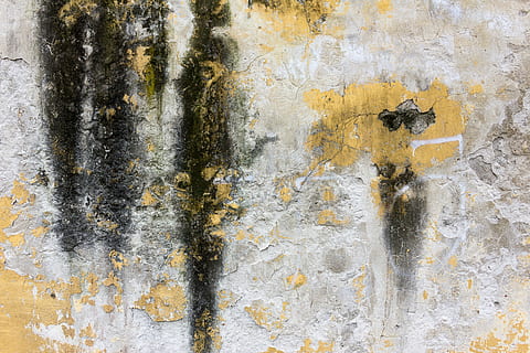 white, black, yellow, concrete, wall, texture, moss, backgrounds, dirty, old, abstract, textured, weathered, rough, rusty, pattern, wall - Building Feature, full frame, no people, peeling off, damaged, built structure, bad condition, architecture, decline, day, run-down, deterioration, peeled, paint, close-up, outdoors, ruined, 5K, CC0, public domain, royalty free