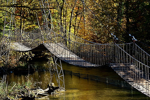 Pont en suspensió, cadenes, inestable, experiència, alçada, tierpark hellabrunn, arbre, planta, pont, connexió, arquitectura, estructura construïda, aigua, pont - estructura feta per l'home, naturalesa, bosc, cap gent, dia, passarel·la, tranquil·litat, riu, transport, barana, creixement, davant del mar, a l'aire lliure, 5K, CC0, domini públic, lliure de regalies