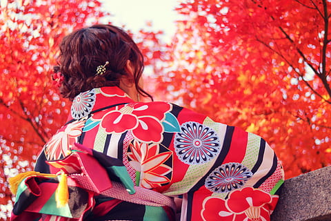 femme, multicolore, kimono, jour, Couleur, journée, temps, femmes, l'automne, Japon, personnes, culture japonaise, en plein air, les femelles, rouge, feuille, la nature, une personne, jeune adulte, appartenance ethnique japonaise, adulte, multi couleur, arbre, vue arrière, fête, Noël, Vrais gens, modes de vie, Activité de loisir, Vêtements décontractés, modèle, Vêtements, se concentrer sur le premier plan, enfance, la taille, enfant, trois quarts, coiffure, motif floral, 5K, CC0, domaine public, libre de droits