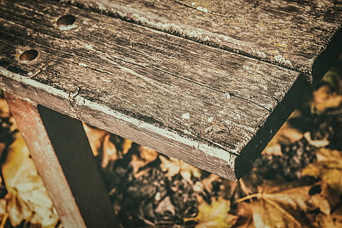 Bank, alt, Session, Holz - Material, Nahansicht, verlassen, keine Leute, Tag, draußen, texturiert, Land, Baum, Holz, Fokus auf den Vordergrund, Natur, High Angle View, Wald, beschädigt, verwittert, Feld, Log, Metall, heruntergewirtschaftet, Verschlechterung, Nagel, 5K, CC0, gemeinfrei, lizenzfrei