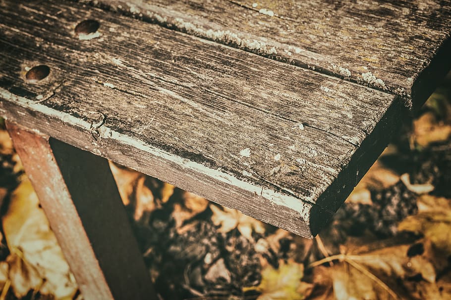 banc, vell, sessió, material de fusta, primer pla, abandonat, cap gent, dia, a l'aire lliure, textura, terra, arbre, fusta, centrar-se en primer pla, naturalesa, vista d’angle alt, bosc, espatllat, resistent, camp, registre, metall, aixafar, deteriorament, ungles, 5K