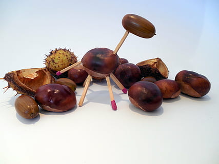 tinker, do it yourself, tinkered, hobby, handicrafts, nature, chestnut, acorns, autumn, decoration, matches, food and drink, white background, food, indoors, healthy eating, still life, freshness, studio shot, no people, nut, wellbeing, chestnut - food, nut - food, fruit, close-up, brown, table, group of objects, indulgence, temptation, 2K, CC0, public domain, royalty free