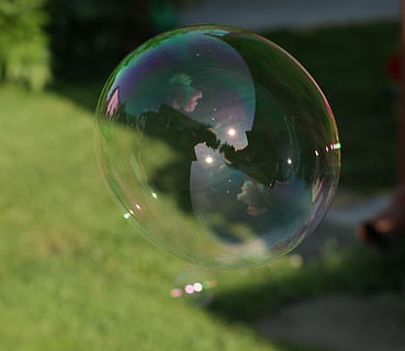 Bolle di sapone, rifrazione, verde, bolla, realistico, far cadere, luce, bagnato, cristallo, superficie, Yin Yang, yin, yang, bacchetta, sapone sud, trasparente, riflessione, fragilità, sfera, vulnerabilità, natura, avvicinamento, giorno, mezz'aria, nessuno, concentrarsi sulle conoscenze acquisite, all'aperto, forma, forma geometrica, pianta, colore verde, brillante, 2K, CC0, dominio pubblico, privo di copyright