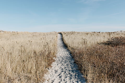 Sandbahn, Gras, Straße, umgeben, getrocknet, Blätter, Weiß, zwischen, trocken, blauer Himmel, Sand, Strand, Pfad, Fußabdruck, Düne, Natur, Landschaft, Himmel, ländliche Szene, draußen, keine Leute, Blau, szenen, Marram Gras, Landschaften, Feld, Tag, Pflanze, Land, ruhige Szene, Ruhe, Szenen - Natur, der Weg nach vorn, Umgebung, Schönheit in der Natur, Fußweg, Wachstum, Richtung, Nicht-städtische Szene, Sonnenlicht, abnehmende Perspektive, Weg, 4K, CC0, gemeinfrei, lizenzfrei