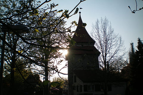 Ulmu, la soare, amurg, turn, copac, plantă, construită, arhitectură, exteriorul clădirii, clădire, vedere unghiulară joasă, natură, lăcaș de cult, cer, nici o persoana, religie, credință, spiritualitate, ramură, lumina soarelui, în aer liber, turlă, 2K, CC0, domeniu public, fără drepturi de autor