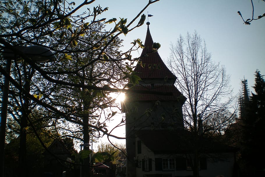 ulm, Sol ponent, crepuscle, torre, arbre, planta, estructura construïda, arquitectura, exterior de l'edifici, edifici, vista d’angle baix, naturalesa, lloc de culte, cel, cap gent, religió, creença, espiritualitat, branca, llum solar, a l'aire lliure, fletxa, 2K