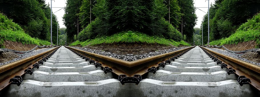semblant, ferrocarril, efecte òptic, tren, trànsit ferroviari, vies del ferrocarril, pistes, pista, rails de ferrocarril, llit de la pista, arbre, planta, perspectiva decreixent, direcció, transport per ferrocarril, cap gent, el camí a seguir, creixement, dia, naturalesa, transport, color verd, punt de fuga, bosc, connexió, a l'aire lliure, terra, aigua que flueix, 8K
