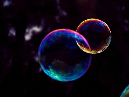 detailopname, foto, twee, bubbels, macrofotografie, bubbel, regenboogkleurig, vlotter, gebied, paar-, zeep, regenboog, transparant, overlapping, kleurrijk, vergankelijk, 2, paar, zeep sud, multi gekleurd, natuur, breekbaarheid, kwetsbaarheid, mid-air, geometrische vorm, glimmend, cirkel, geen mensen, schoonheid in de natuur, vorm, reflectie, zeepbel wand, Purper, vliegend, lichtgewicht, zwarte achtergrond, overpeinzing, 1080P, CC0, publiek domein, royaltyvrij