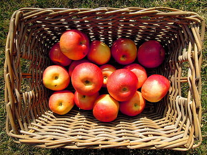 Apfel, Obst, Korb, rot, Gelb, Essen und Trinken, gesundes Essen, Frische, Lebensmittel, draußen, Apfel - Frucht, Tag, Picknickkorb, Container, Korbweide, Wohlbefinden, Stillleben, keine Leute, High Angle View, große gruppe von gegenständen, Nahansicht, Landwirtschaft, Gemüse, reif, 4K, CC0, gemeinfrei, lizenzfrei