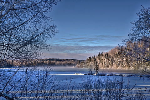 hivern, paisatge, fred, arbres, contrast, paisatge d'hivern, llac, nevat, colors, aigua, québec, Canadà, arbre nu, arbre, naturalesa, neu, planta, cel, escenics - natura, tranquil·litat, bellesa a la natura, escena tranquil·la, cap gent, temperatura de fred, escena no urbana, reflexió, idíl·lic, a l'aire lliure, 5K, CC0, domini públic, lliure de regalies