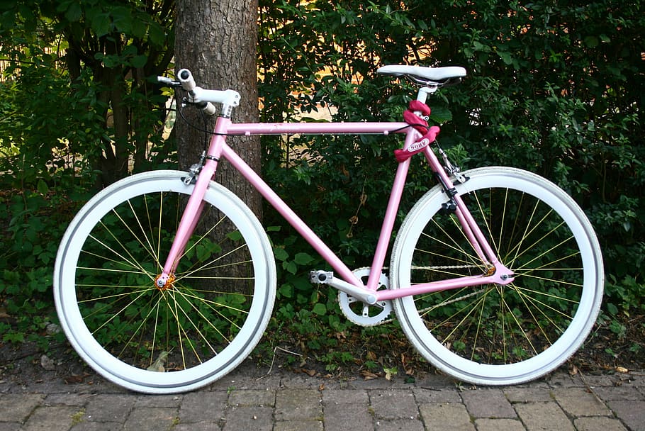bicicleta, cicle, rodes, ciclisme, esport, estil de vida, vehicle terrestre, transport, manera de transport, planta, estacionari, cap gent, dia, arbre, naturalesa, roda, a l'aire lliure, creixement, aparcament, viatjar, tronc de l'arbre, color verd, tronc, cistella, terra, 2K