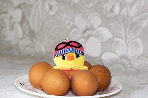 quatro, Castanho, orgânico, ovos, placa, ovos orgânicos, Páscoa, ovos de Páscoa, frango, brinquedo, feriado, Comida, ovo animal, decoração, cesta, temporada, ovos de pascoa, culturas, amarelo, comida e bebida, ninguém, dentro de casa, ovo, representação, arte e Artesanato, representação animal, fechar-se, mesa, criatividade, bem-estar, frescura, ainda vida, focar em primeiro plano, eggcup, estampa floral, 2K, CC0, domínio público, royalty free