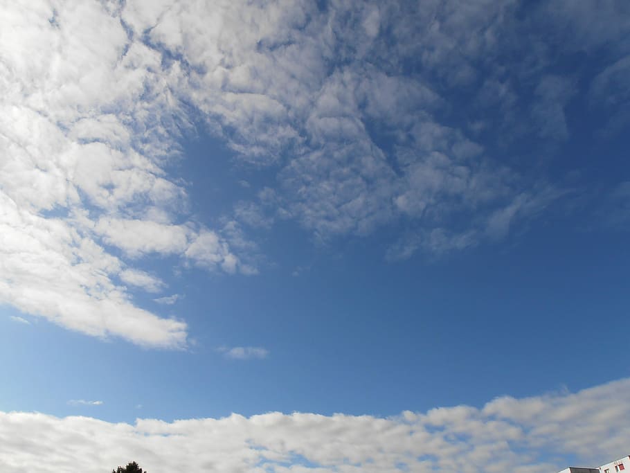 nuvole, modulo, cielo, forma di nuvole, schäffchenwolken, nube, schäfchenwolke, sfondo, nuvola di libri illustrati, cielo appannato, lanoso, nuvola - cielo, blu, natura, bellezza nella natura, solo cielo, scenics - natura, Inquadratura dal basso, giorno, la tranquillità, nessuno, Colore bianco, scena tranquilla, sfondi, idilliaco, Cloudscape, all'aperto, meteorologia, luce del sole, ambiente, soffice, 4K
