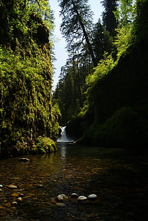 vandfald, floder, streams, klipper, stenet, bjerge, grønne, flora, planter, træer, vand, flyder, stadig, berolige, fredelig, udendørs, naturskøn, landskab, natur, lyse, dag, vild, Skov, bakker, træ, plante, skønhed i naturen, scenics - natur, jord, ro, vækst, ikke-urbane scene, ingen mennesker, rolig scene, flod, klippe, grøn farve, idyllisk, flydende vand, 4K, CC0, offentligt domæne, royaltyfrie