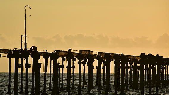 platja, moll, putrefacció, òxid, posta de sol, mar, naturalesa, silueta, vespre, cel, a l'aire lliure, aigua, retroil·luminat, sortida del sol - alba, cap gent, riu, llum del carrer, transport, arquitectura, estructura construïda, carrer, equips d’il·luminació, publicació, tranquil·litat, escena tranquil·la, post de fusta, 4K, CC0, domini públic, lliure de regalies
