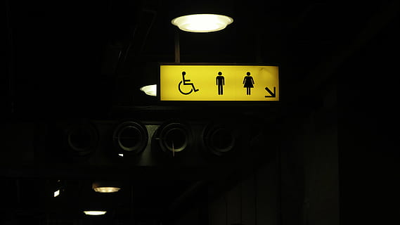 turned-on, male, female, person, disability sign, toilet, signage, still, items, things, ceiling, light, sign, box, men, women, handicapped, bokeh, illuminated, night, dark, guidance, communication, no people, transportation, indoors, close-up, lighting equipment, information, information sign, architecture, text, low angle view, copy space, public restroom, yellow, clock, domestic room, restroom sign, 4K, CC0, public domain, royalty free