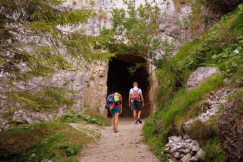 entrada, galeria, ruta, excursió, pasubio, carretera, 52, Itàlia, muntanya, l'entrada, activitat d'oci, senderisme, dones, activitat, caminar, grup de persones, planta, adult, aventura, arbre, persones reals, longitud completa, bosc, estils de vida, homes, naturalesa, gent, viatjar, sendera, a l'aire lliure, 5K, CC0, domini públic, lliure de regalies
