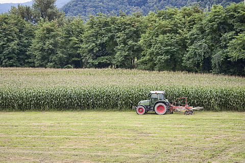 landbrug, traktor, majs, forarbejdning, jorden, natur, plante, grøn farve, træ, Mark, vækst, jord, transportform, transportmidler, land køretøj, landskab, landbrugsudstyr, dag, gård, landbrugsmaskiner, græs, landlige scene, ingen mennesker, udendørs, havearbejde, 1080P, CC0, offentligt domæne, royaltyfrie