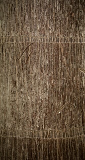 resum, envelliment, fons, escorça, marró, primer pla, disseny, detall, bosc, natural, naturalesa, vell, palmell, patró, planta, aspre, superfície, textura, arbre, tronc, vertical, vintage, fusta, marc complet, material de fusta, gra de fusta, cap gent, efecte texturat, tauler, a l'interior, material, fons de colors, espatllat, vinyeta, antiguitat, fosc, en blanc, 5K, CC0, domini públic, lliure de regalies