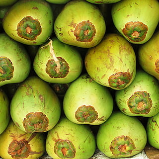 cocos, Fruta, palma de coco, verde, semilla, drupa, tropical, exótico, shiggaon, India, apilar, mercado, comida y bebida, comida, alimentación saludable, frescura, bienestar, color verde, antecedentes, fotograma completo, nadie, en venta, de cerca, naturaleza muerta, gran grupo de objetos, abundancia, día, mango, vista de alto ángulo, venta, maduro, 2K, CC0, dominio público, libre de derechos
