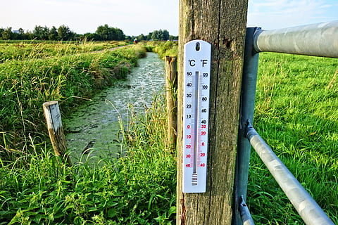 white, thermometer, brown, wooden, fence, temperature, celsius, fahrenheit, outdoor thermometer, post, fence post, ditch, field, thermometer on post, plant, grass, green color, nature, growth, no people, day, land, landscape, communication, instrument of measurement, number, tree, tranquility, text, beauty in nature, sign, wood - material, tranquil scene, outdoors, wooden post, 4K, CC0, public domain, royalty free