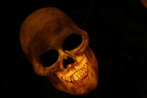 brown, skull, lighted, table decor, skull and crossbones, skeleton, bone, smile, evil, diabolical, gram, death, halloween, horror, spooky, human Skull, human Bone, october, black background, human skeleton, human body part, fear, celebration, single object, studio shot, close-up, indoors, body part, people, dark, human teeth, 4K, CC0, public domain, royalty free
