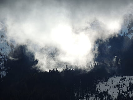 trær, dekket, tåke, Sky, dekke, skogfoto, snø, belagt, fjell, skyet, himmel, skog, tre, vær, natur, sky - himmel, clouds, overskyet, utendørs, scenics, storm, mørk, blå, bakgrunn, landskap, skjønnhet i naturen, ingen folk, naturskjønnhet - natur, miljø, ro, rolig scene, anlegg, ikke-urbane scene, røyk - fysisk struktur, kaldtemperatur, furutre, snødekte fjell, forurensing, 4K, CC0, offentlig domene, opphavsrett gratis