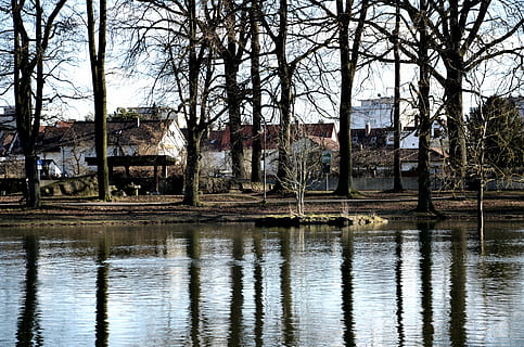 Baum, Log, Bäume, Winter, Winterstimmung, eisig, Bank, Fluss, winterlich, Donau, Spiegeln, Natur, Reflexionen, gehen, ulm, Reflexion, Wasser, kahler Baum, keine Leute, Pflanze, die Architektur, Ufergegend, Kofferraum, gebaute Struktur, Baumstamm, Tag, Ruhe, draußen, Himmel, Ast, See, ruhige Szene, 4K, CC0, gemeinfrei, lizenzfrei